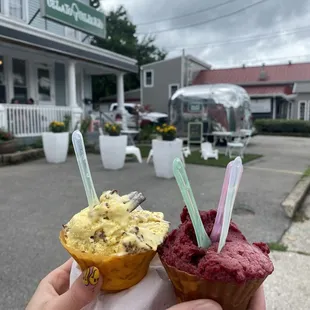 Vanilla Nutella &amp; Triple Berry