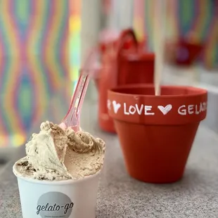 Medium cup (2 flavors)