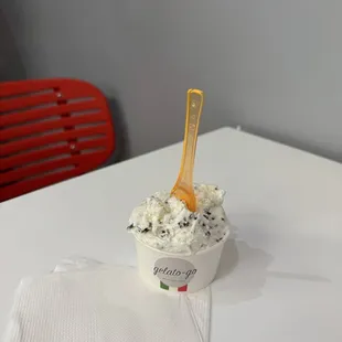 Small straciatella Gelato