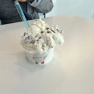 stracciatella gelato (chocolate chip)