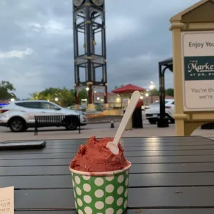 Raspberry sorbet