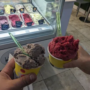 Cookies n Cream gelato and raspberry sorbet