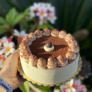 Tiramisu Cake