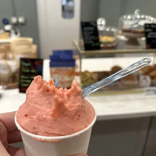 Strawberry sorbet