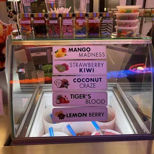 a display case with a variety of ice creams