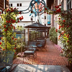 Gem Theatre Terrace Rose Garden