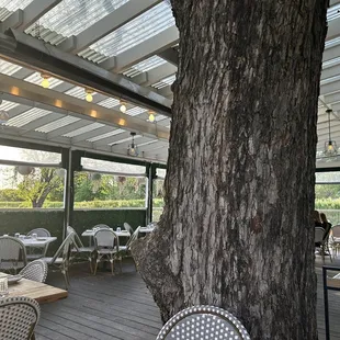 patio