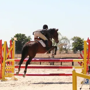 Trainer, Johanna Merager, competing locally at Leone Equestrian