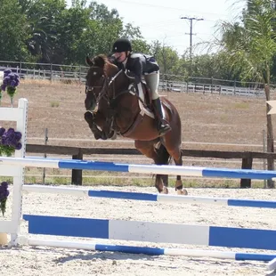 Trainer, Johanna Merager, competing locally at Leone Equestrian