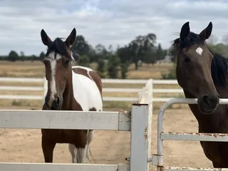 Sargent Equestrian Center