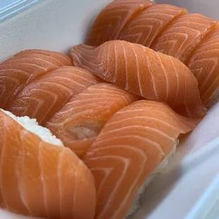 Salmon