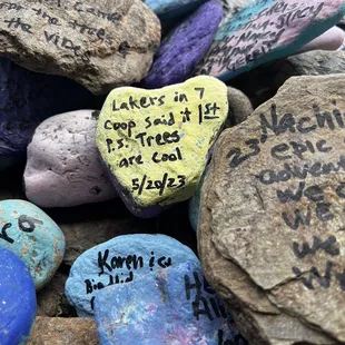 Travelers rocks in the patio area
