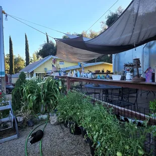 eclectic figurines fun to look at