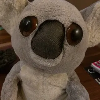 Koalie W.