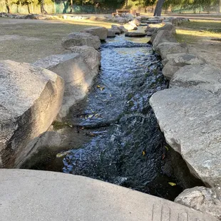 Gene Reid Park in Tucson, AZ 11/27/21