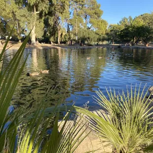 Gene Reid Park in Tucson, AZ 11/27/21
