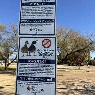 Don&apos;t feed the ducks bread!