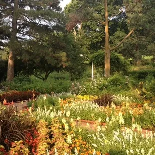 Heirloom Garden