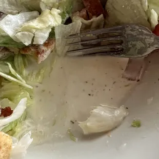 The watery ranch mixed with the water from the salad. It was absolutely disgusting! Everything was soggy.