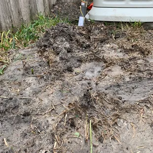 Unacceptable mess that apparently they have no concern over after they've been paid. Profoundly disappointed!