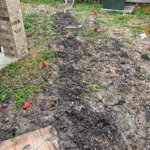 Destroyed yard since Generac was installed.