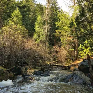 Beaver Brook Trail (5/20/21)
