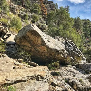 Beaver Brook Trail (5/20/21)