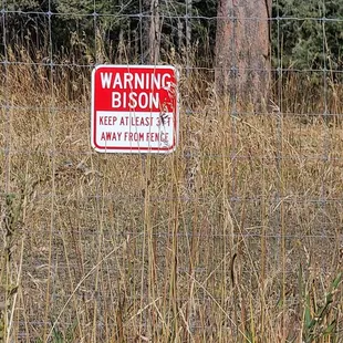 Bison warning  10-10-2023