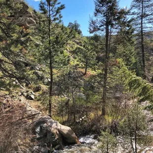 Beaver Brook Trail (5/20/21)