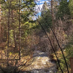 Beaver Brook Trail (5/20/21)