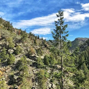 Chavez Trail (5/20/21)