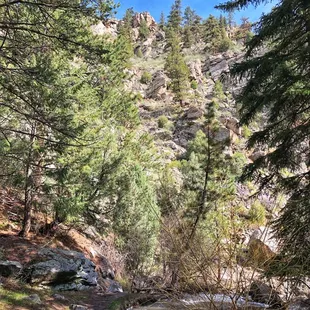 Beaver Brook Trail (5/20/21)