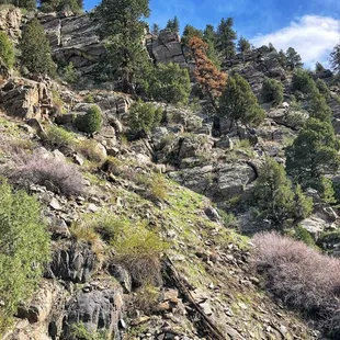 Beaver Brook Trail (5/20/21)