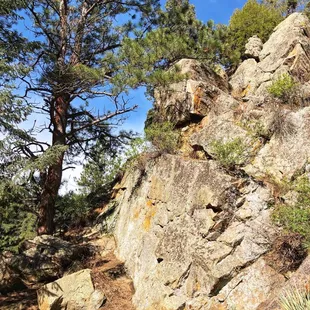 Beaver Brook Trail (5/20/21)