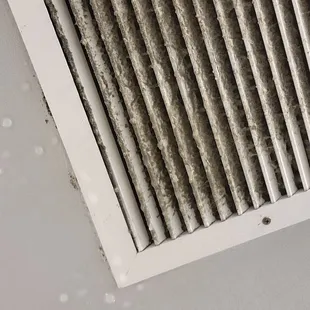 Disgusting air vents.
