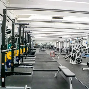 We have plenty of squat racks