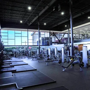 Our brand new strength training equipment on the fitness floor!