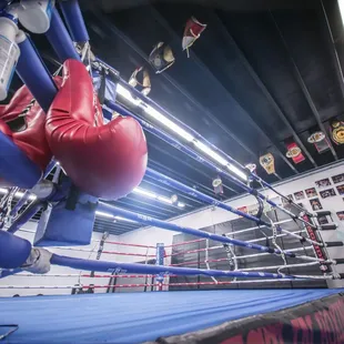 Boxing ring at West 13th Genesis