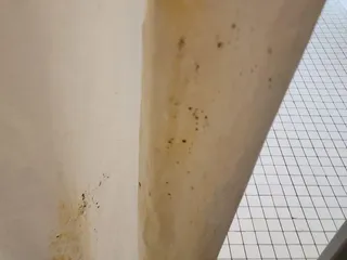 Genesis Health Clubs - 132nd & Center