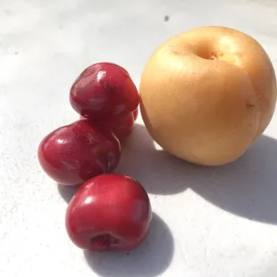 U Pick apricots and cherries in May!