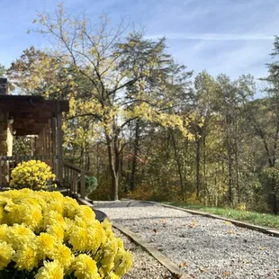 Geneva Hills - Hocking Hills Region