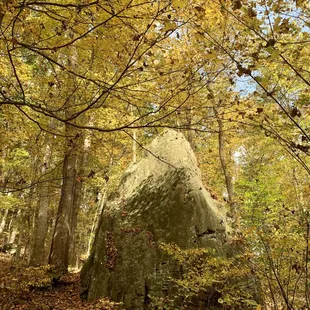 Geneva Hills - Hocking Hills Region