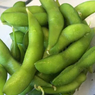 Edamame