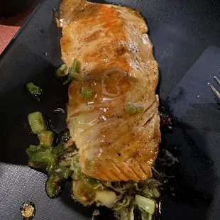 Salmon