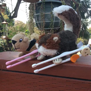 MrandMs Squirrel S.
