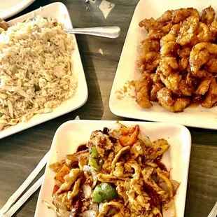 Our three dishes, Chicken Fried Rice, Kung Pao Chicken and Orange Chicken