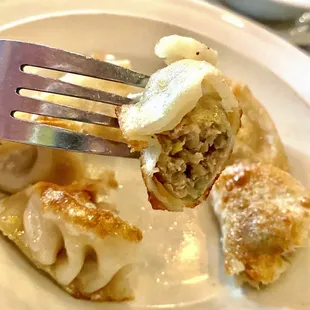 Gyoza  Pork Potstickers  Close-Up