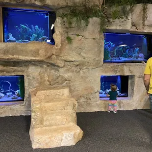 Aquariums in rock displays, reservation building