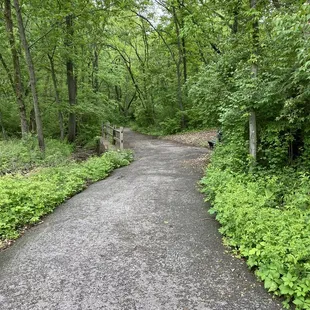Paved butterfly trail