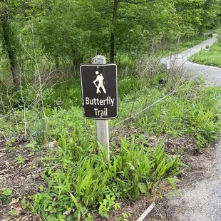 Butterfly trail entrance